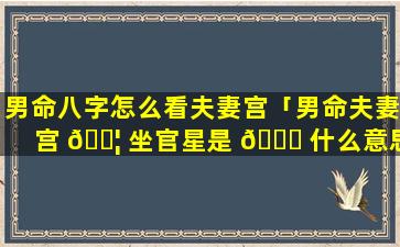 男命八字怎么看夫妻宫「男命夫妻宫 🐦 坐官星是 🐞 什么意思」